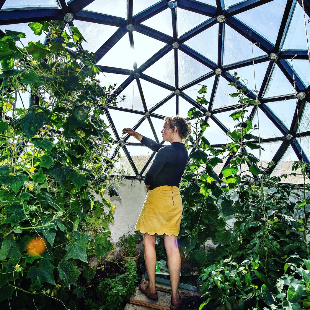 Woman picking tomatoes in green house dome